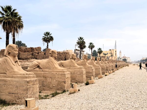 106 Aegypten Luxor Sphingenalle 1 600x450 - Ägypten 2024