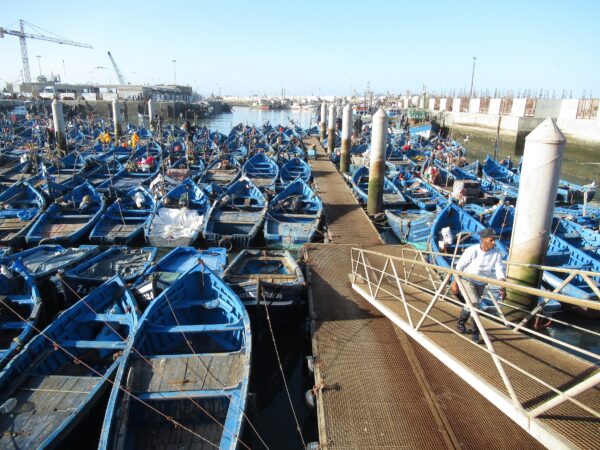 3 2022 Essaouira Fischerhafen 600x450 - Marokko 2022