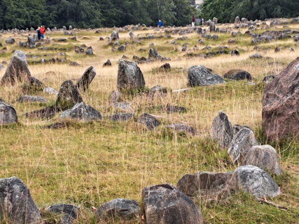 51 Aalborg Graeberfeld Lindholm Hoje 600x450 - D&auml;nemark 2026