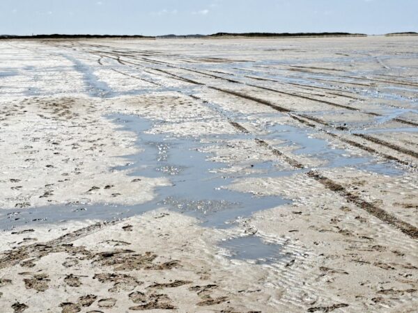 64 Wattenmeer 600x450 - D&auml;nemark 2026