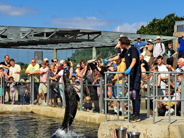 72 Esbjerg Fischerei und Seefahrtsmuseum Robbenfuetterung 600x450 - D&auml;nemark 2026