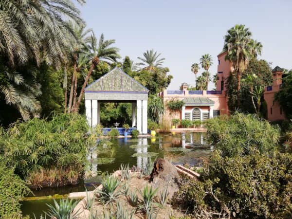 74 2022 Marrakech Jardin Majorelle 5 600x450 - Marokko 2022