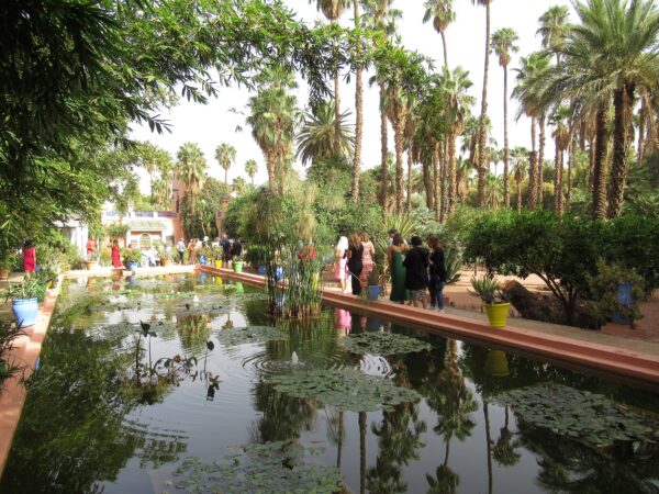 75 2022 Marrakech Jardin Majorelle 600x450 - Marokko 2022