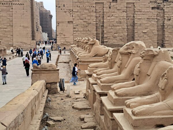 89 Luxor Karnak Tempel Widderallee 1 600x450 - Ägypten 2024