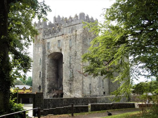 Fahrten 2018 Irland 27 Bunratty Castle RFH R0042545 555x416 - Irland 2018