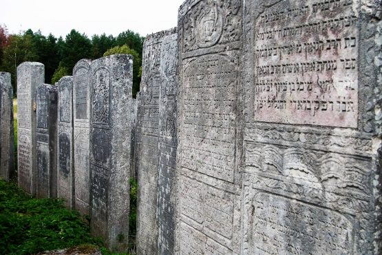 Fahrten GalizienBukowina 2016 22 Brody jüdischer Friedhof 555x370 - Galizien und Bukowina 2016