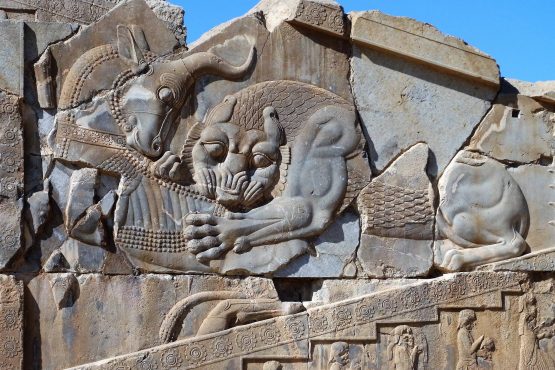 Fahrten Iran 2017 24 Persepolis Darius Palast 555x370 - Iran 2017